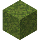Moss Block