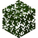 Spruce Leaves.png: Inventory sprite for Spruce Leaves in Minecraft as shown in-game linking to Spruce Leaves with description: Spruce Leaves