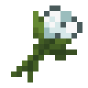 White Tulip.png: Inventory sprite for White Tulip in Minecraft as shown in-game linking to White Tulip with description: White Tulip