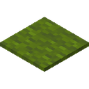 Green Carpet.png: Inventory sprite for Green Carpet in Minecraft as shown in-game linking to Green Carpet with description: Green Carpet