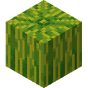 Melon.png: Inventory sprite for Melon in Minecraft as shown in-game with description: Melon