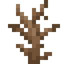 Dead Bush