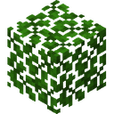 Acacia Leaves.png: Inventory sprite for Acacia Leaves in Minecraft as shown in-game linking to Acacia Leaves with description: Acacia Leaves