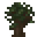 Dark Oak Sapling
