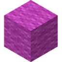 Magenta Wool
