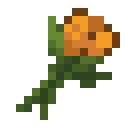 Orange Tulip.png: Inventory sprite for Orange Tulip in Minecraft as shown in-game linking to Orange Tulip with description: Orange Tulip