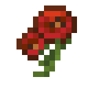 Poppy