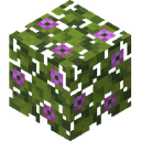 Flowering Azalea Leaves.png: Inventory sprite for Flowering Azalea Leaves in Minecraft as shown in-game linking to Flowering Azalea Leaves with description: Flowering Azalea Leaves