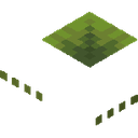 Small Dripleaf.png: Inventory sprite for Small Dripleaf in Minecraft as shown in-game linking to Small Dripleaf with description: Small Dripleaf