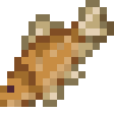Tunisian Barb
