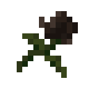 Wither Rose.png: Inventory sprite for Wither Rose in Minecraft as shown in-game linking to Wither Rose with description: Wither Rose