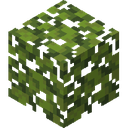 Azalea Leaves.png: Inventory sprite for Azalea Leaves in Minecraft as shown in-game linking to Azalea Leaves with description: Azalea Leaves