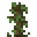 Jungle Sapling