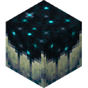 Sculk Catalyst