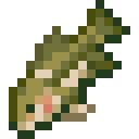 Bass