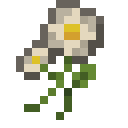 Oxeye Daisy.png: Inventory sprite for Oxeye Daisy in Minecraft as shown in-game linking to Oxeye Daisy with description: Oxeye Daisy