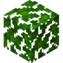 Jungle Leaves.png: Inventory sprite for Jungle Leaves in Minecraft as shown in-game linking to Jungle Leaves with description: Jungle Leaves