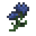 Cornflower.png: Inventory sprite for Cornflower in Minecraft as shown in-game linking to Cornflower with description: Cornflower